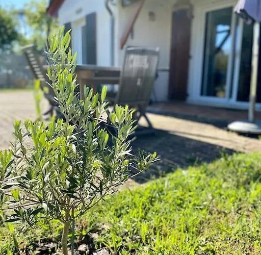 בית נופש Maison Confortable Entre Bassin Et Ocean ארס